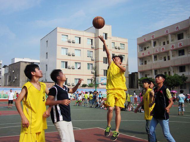 桐庐县中小学篮球比赛